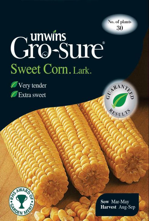Image of Sweet Corn Lark F1