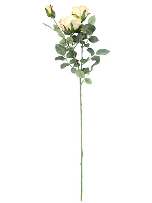 Image of Linea Yellow Rose Stem In Yellow