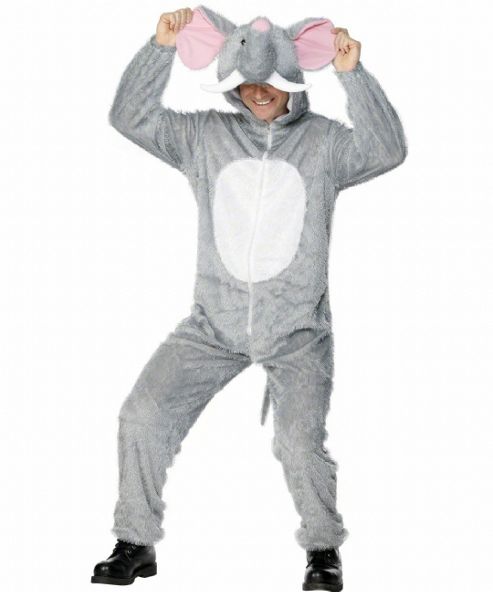 Image of Elephant Costume