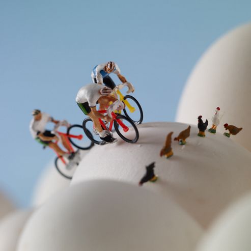 Image of Holy Mackerel Egg Cycling. Cycling On An Egg With Chickens Greetings Card