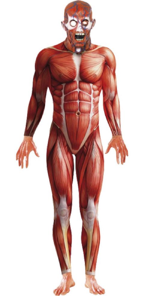 Image of Anatomy Man Second Skin Suit - Adult Costume Size: 46-48