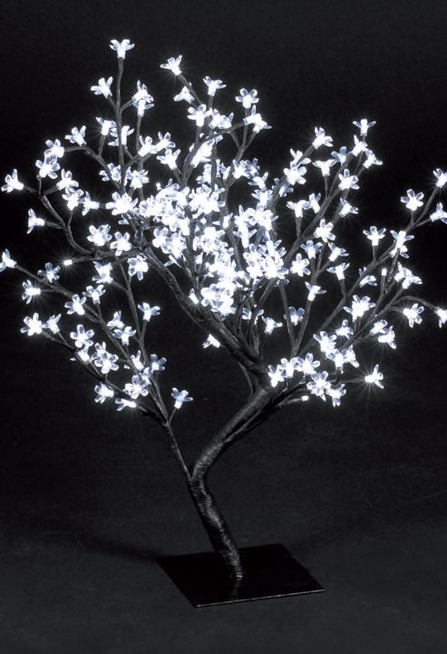 Image of Snowtime Cherry Blossom Tree - Ice White - 67 Cm H