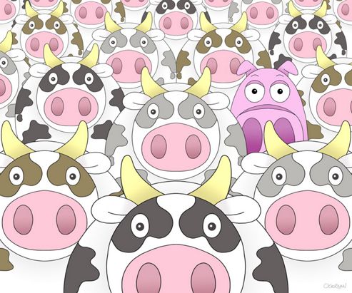 Image of Moove Over For Piggy Canvas Picture