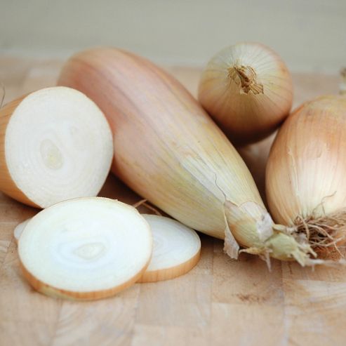 Image of Onion 'kappa' - 1 Packet (200 Onion Seeds)