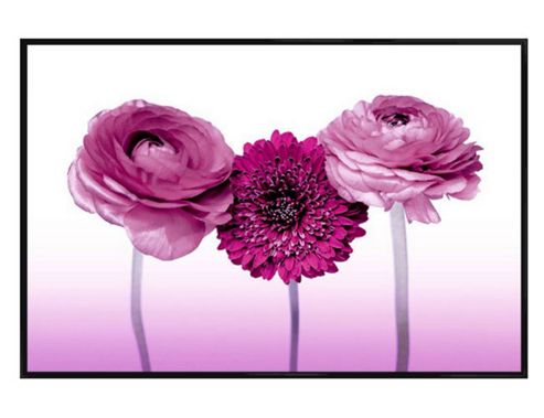 Image of Gloss Black Framed Pink Flower Trinity Poster