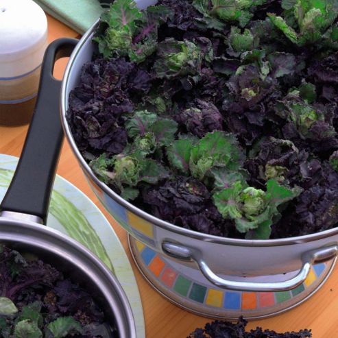 Image of Brassica 'petit Posy Mix'&trade; - 1 Packet (30 Seeds)