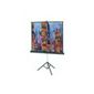 Da-Lite Versatol Portable Tripod Screen Square Format - White, 50 x 50 inch