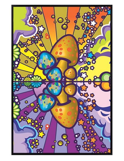 Image of Charlie Hardwick Gloss Black Framed Mushroom Magic Poster
