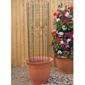 Climbing Frame Plant Support - 1 frame