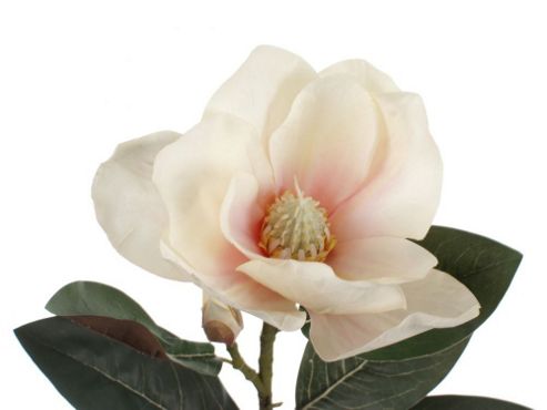 Image of Artificial 85cm Single Stem Pink And Cream Yulan Magnolia