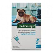 Advantage 100 for Medium Dog (4 pipettes)