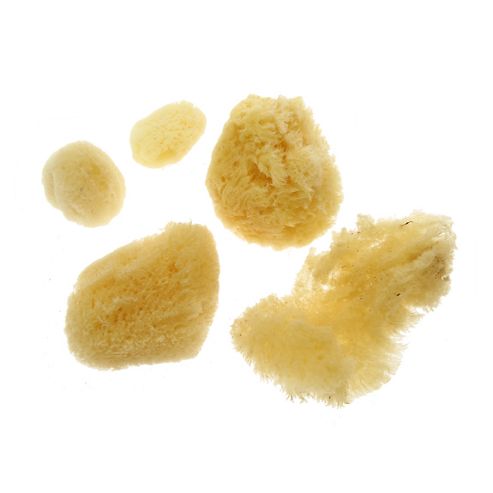 Image of Jakar Artists Natural Sea Sponges - 4-6 Assorted