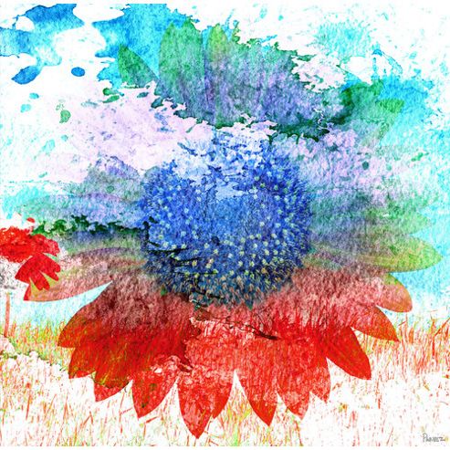 Image of Parvez Taj Hot Wall Art - 81 Cm H X 81 Cm W X 5 Cm D