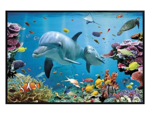 Image of Gloss Black Framed Tropical Dolphins Poster