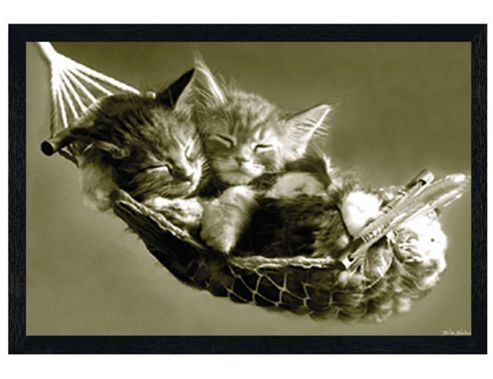 Image of Sleeping Kittens Black Wooden Framed Kittens Asleep In A Hammock Poster
