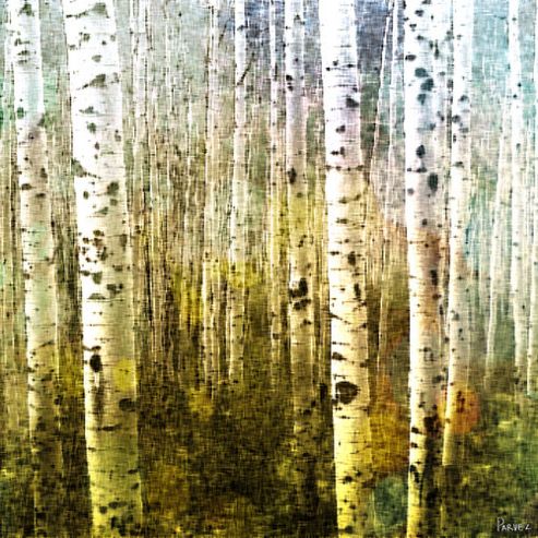Image of Parvez Taj Aspen Ski Wall Art - 45 Cm H X 45 Cm W X 5 Cm D