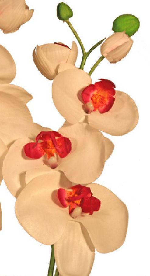 Image of Artificial 85cm Triple Stem White Phalaenopsis Orchid In White Pot