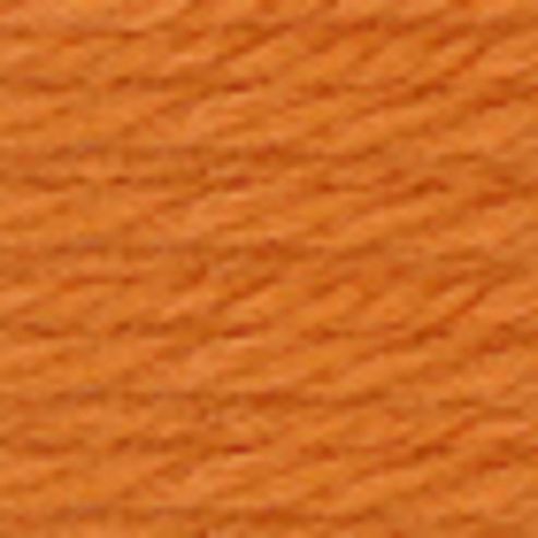 Image of Anchor Tapestry Wool 10mt 9556