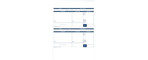 Image of Pegasus Capital 1-part A4 Pay Advice Pack Of 500 Cl95