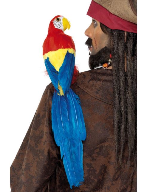 Image of Parrot