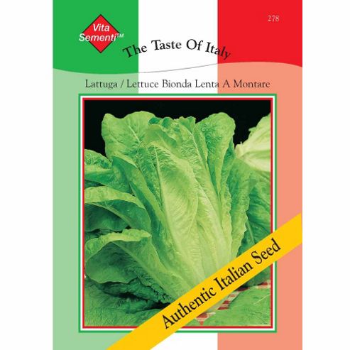 Image of Lettuce 'bionda Lenta A Montare' (romaine) - Vita Sementi&reg; Italian Seeds - 1 Packet (4800 Lettuce Seeds)