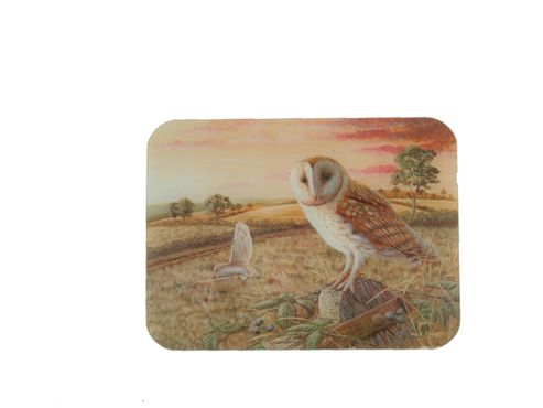 Image of Stow 3100/30 Glass Board Owl 16x12in