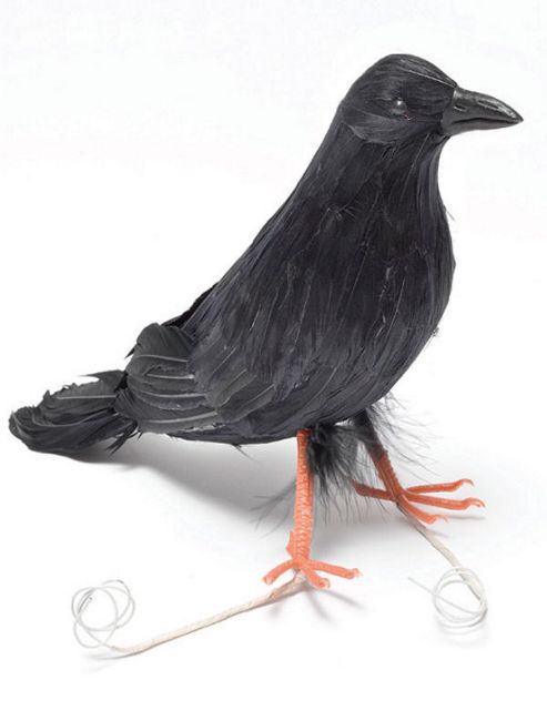 Image of Feather Raven - 23cm Halloween Prop