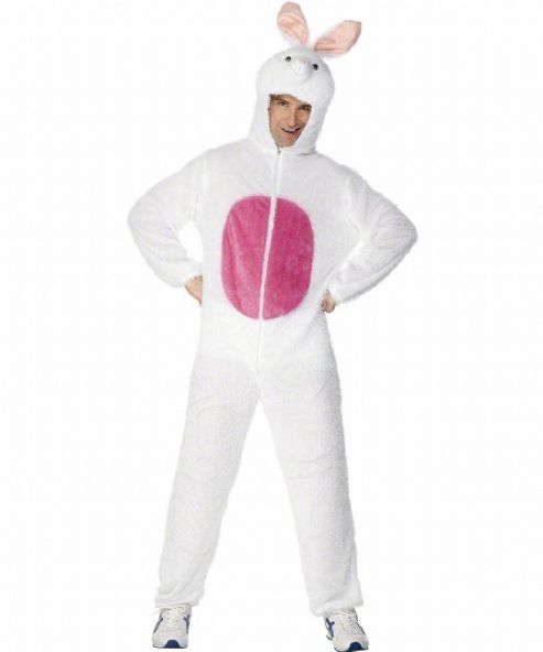 Image of Bunny Costume