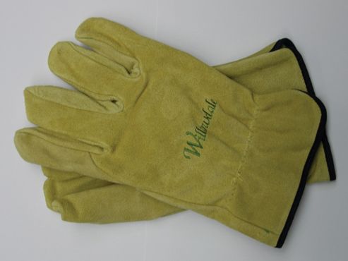 Image of Kent Glo09 Thornproof Pruning Gloves Mens