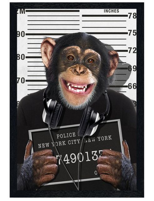 Image of Cheeky Chimp Black Wooden Framed Mugshot Poster