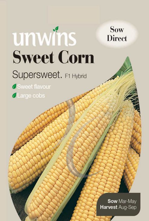 Image of Sweet Corn Supersweet F1