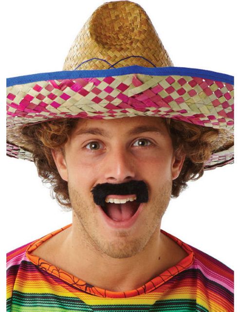 Image of Bandit Moustache