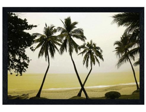 Image of Hainan Island, China Black Wooden Framed Palm Trees Poster