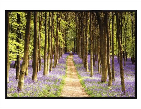 Image of Gloss Black Framed Woodland Path Poster