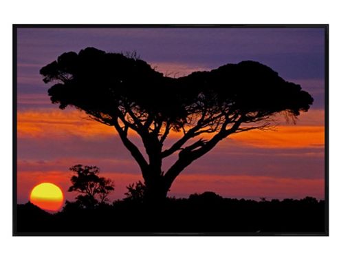 Image of Gloss Black Framed Sunset Silhouette Poster