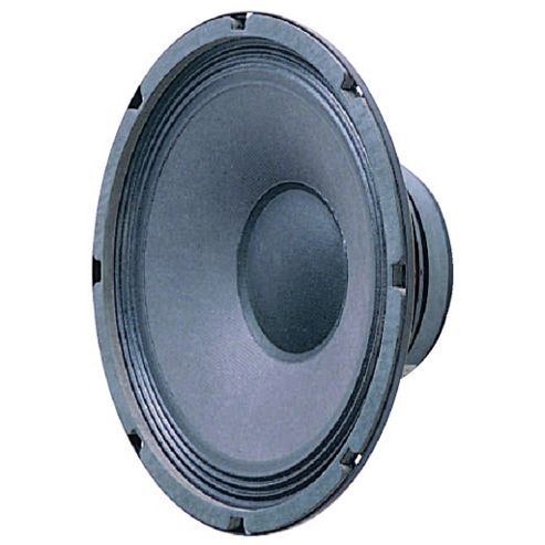 Image of 250mm (10in) 150w Power Speaker