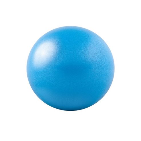 Image of Gofit 20cm Core Ab Ball With Training Dvd Blue