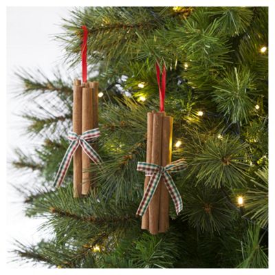 Buy Tesco Cinnamon Sticks Hanging Decoration from our All Christmas ...