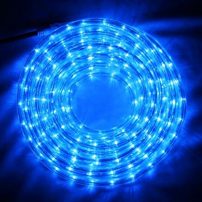 Buy 8m Blue LED Rope Light from our Decorative Lights range - Tesco