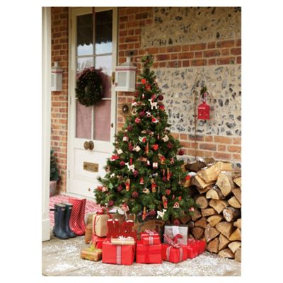 Buy Tesco 6ft Windsor Fir Christmas Tree from our Christmas Trees range