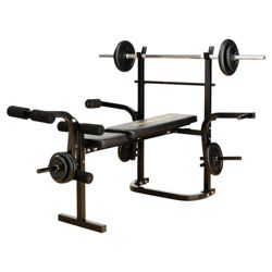 Buy Gold's Gym Multi-purpose Bench (w/o weight) from our Benches range ...