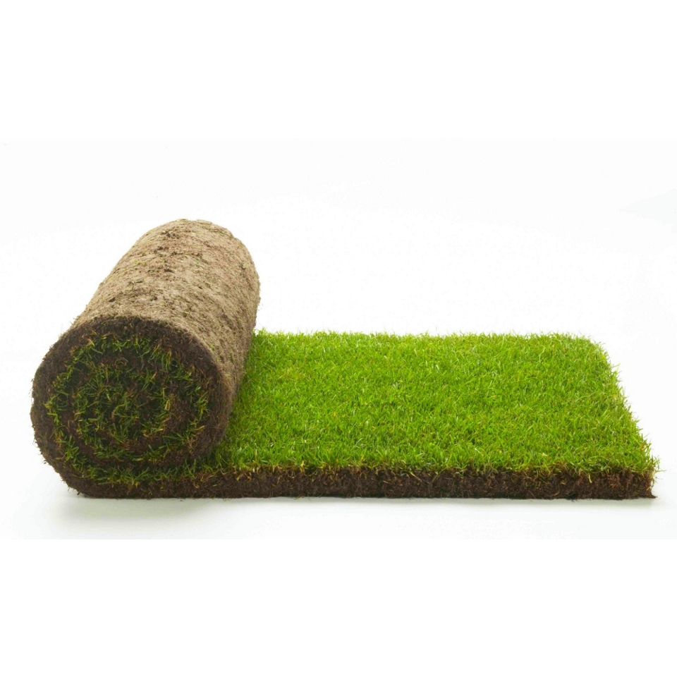 Buy Turf from our Landscaping range   Tesco