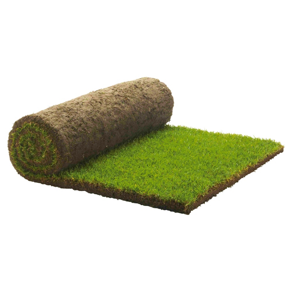 Buy Turf from our Landscaping range   Tesco