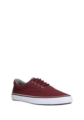 Buy F&F Lace-Up Canvas Shoes from our Men's New In range - Tesco