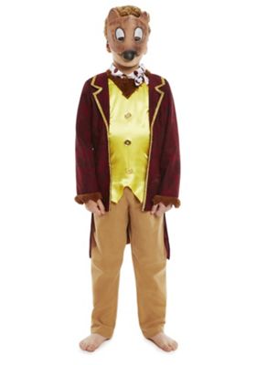 Buy Roald Dahl Fantastic Mr Fox Dress-Up Costume from our Kids' Sale ...