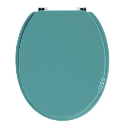 Buy Premier Housewares Toilet Seat - Turquoise From Our Toilet Seats 