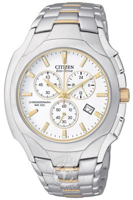 citizen chronograph wr100 gold