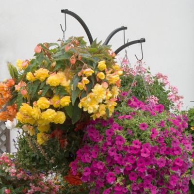 Buy Hanging Basket Stand - 1 stand from our Hanging Baskets range - Tesco