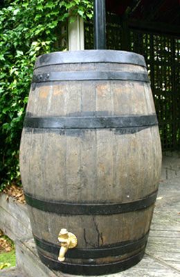 Buy Large Oak Whiskey Barrel - Water Butt From Our Water Butts 