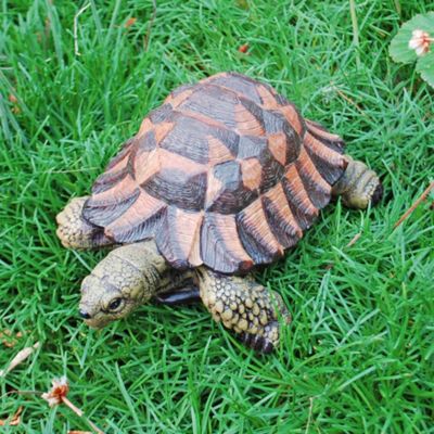 Buy Realistic Tortoise Garden Ornament In Detailed Coloured Resin from ...